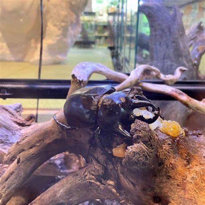 磐田・竜洋で昆虫と自然を観察できる公園ガイド