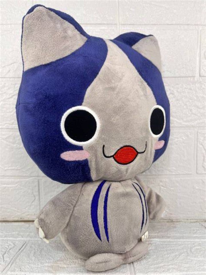 城下町 にゃんこ の 会とは？活動内容・魅力・参加のコツを解説